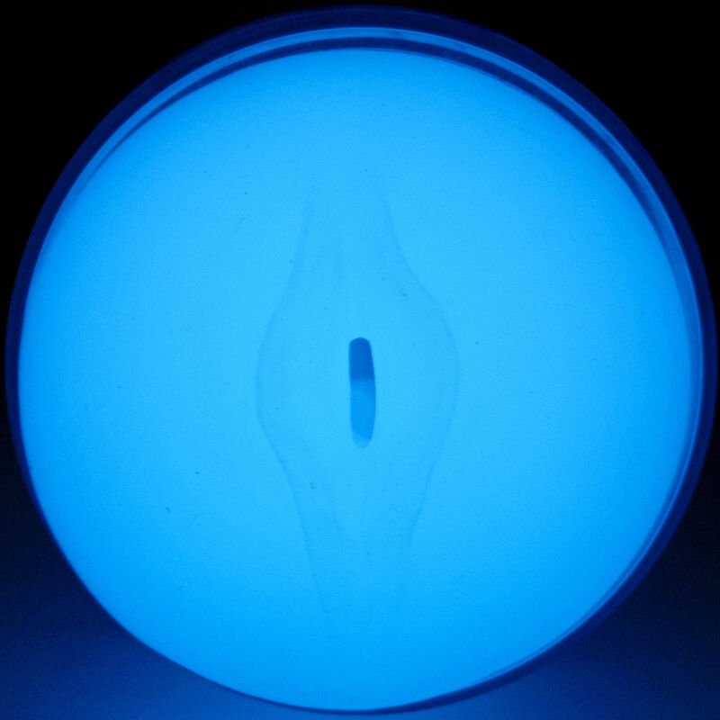 Kiiroo - Sentire Il Bagliore Nel Buio Stroker - immagine 5