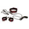 Calexotics - Scandal Kit per la Presentazione
