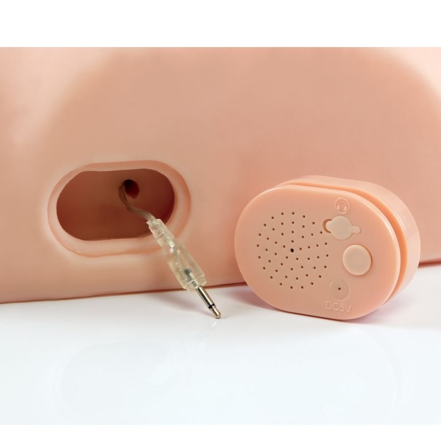Pdx Male - Maschio Interattivo Scopalo Sciocto - immagine 5